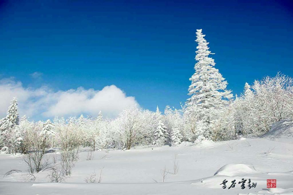 ΢��ͼƬ_20171129115125.jpg