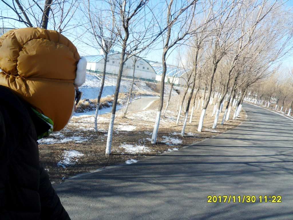 SDC13100_����.jpg
