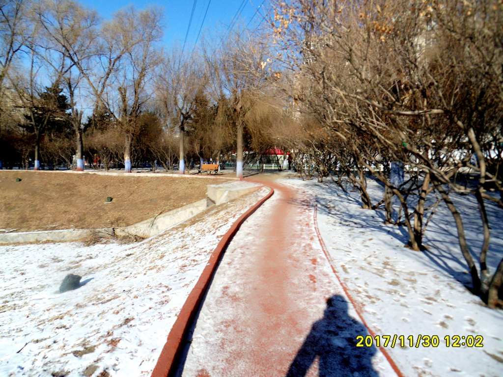 SDC13104_����.jpg