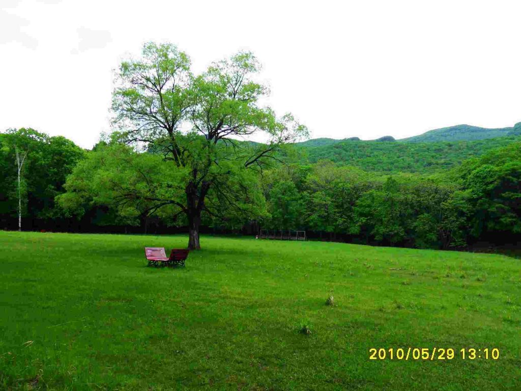 SDC13634.JPG