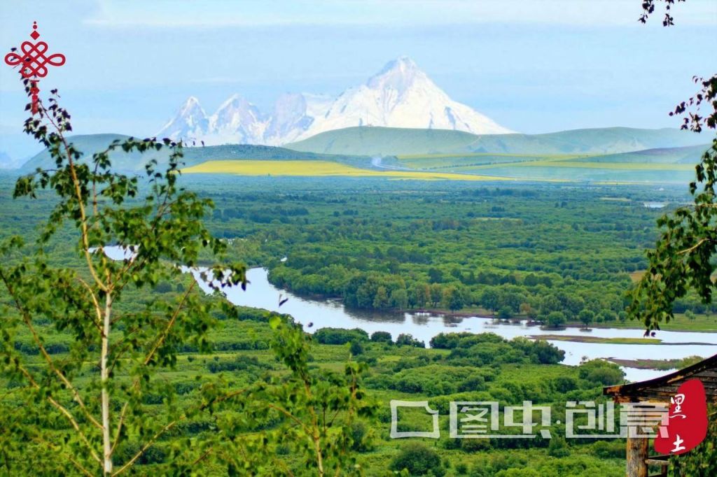 446323526765248521 (1).jpg