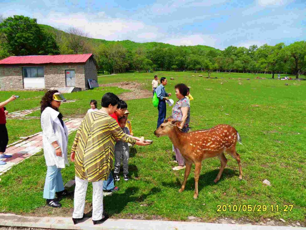 SDC13528.JPG