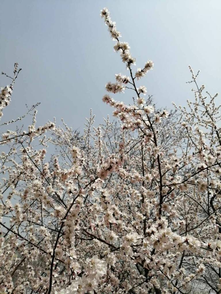 QQͼƬ20190416211251.jpg