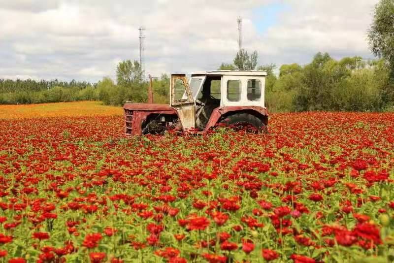 ΢��ͼƬ_20220829201333.jpg