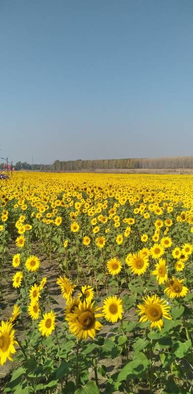 ΢��ͼƬ_20220927190908.jpg