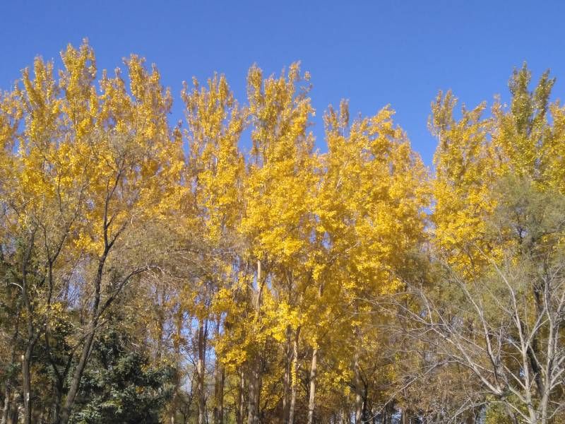 ΢��ͼƬ_20221016133237.jpg
