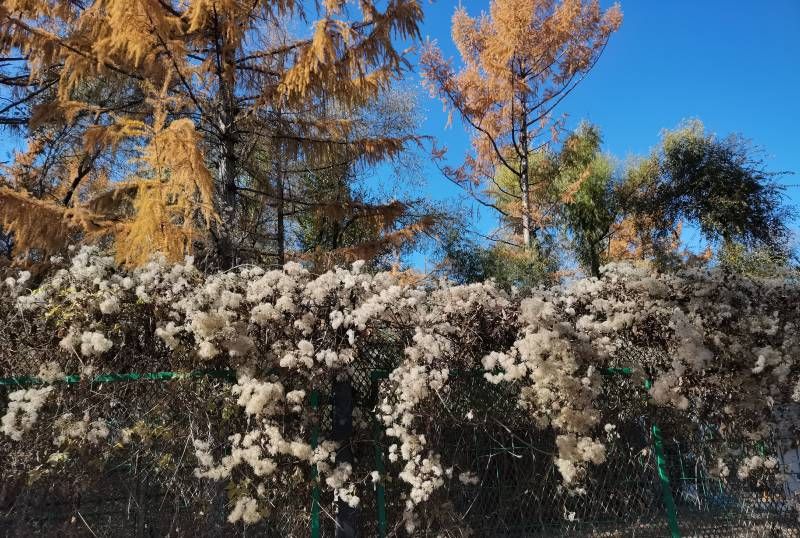 ΢��ͼƬ_20221018200612.jpg