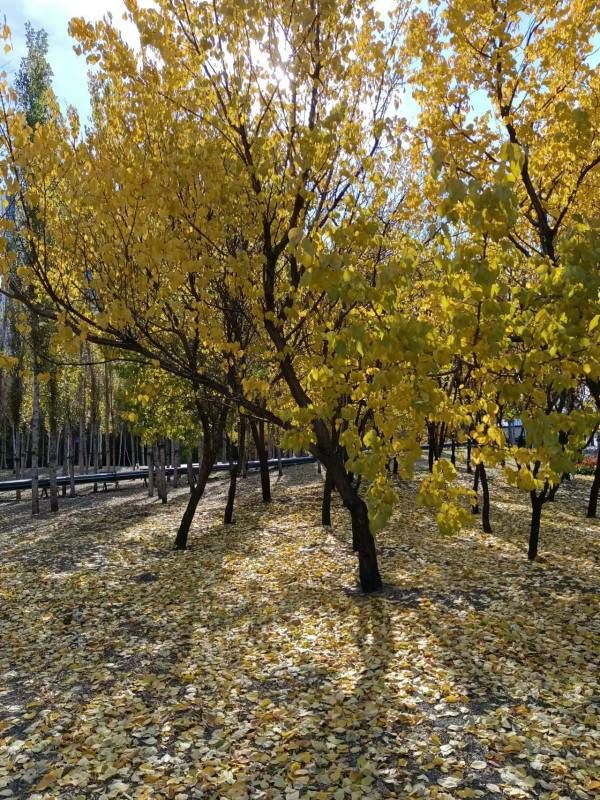 ΢��ͼƬ_20221022164339.jpg