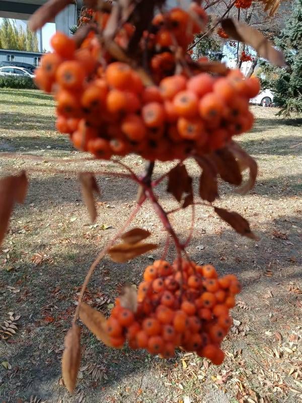 ΢��ͼƬ_20221022164359.jpg