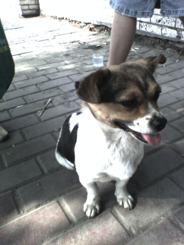 0613151501.jpg