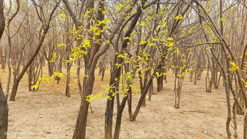 ΢��ͼƬ_20230411220131.jpg