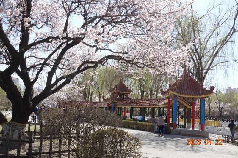 ΢��ͼƬ_20230422212645.jpg