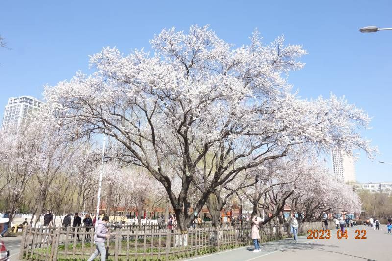 ΢��ͼƬ_20230422212505.jpg