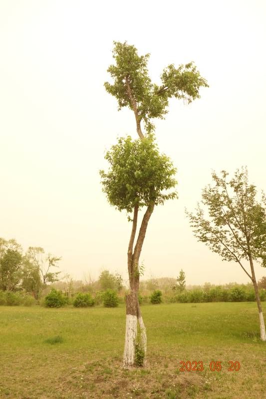 ΢��ͼƬ_20230520141134.jpg