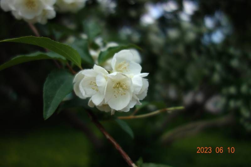 ΢��ͼƬ_20230610175528.jpg