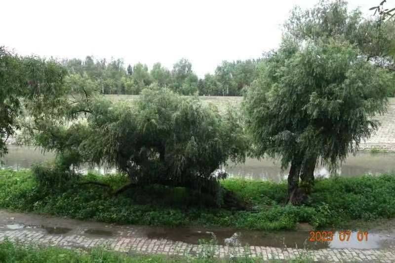 ΢��ͼƬ_20230701221113.jpg