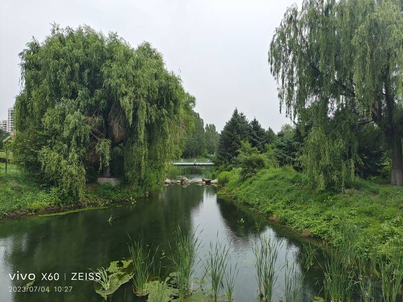 ΢��ͼƬ_20230704163501.jpg