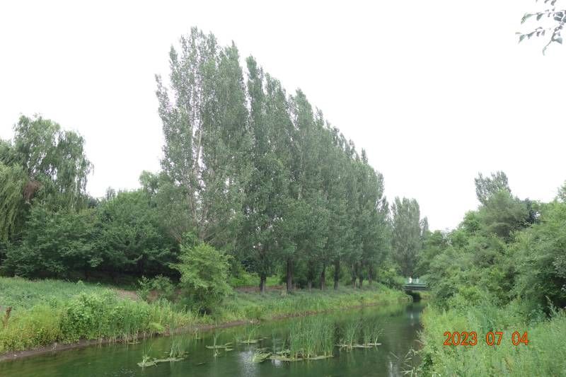 ΢��ͼƬ_20230704220450.jpg