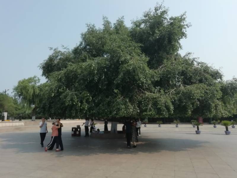΢��ͼƬ_20230725184357.jpg