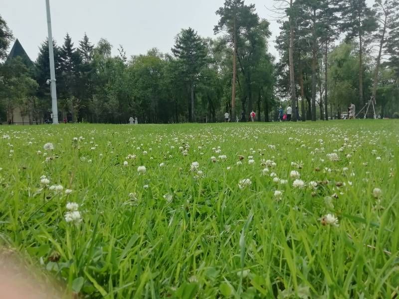 ΢��ͼƬ_20230725184617.jpg