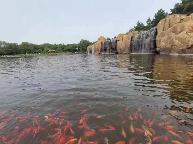 微信图片_20230725211845.jpg
