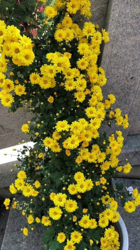 ΢��ͼƬ_20230916171800.jpg