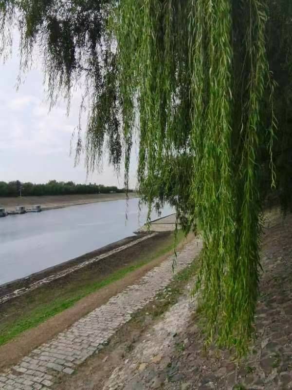 mmexport1696335406664 - ���Ŀ�ͼ��.jpg