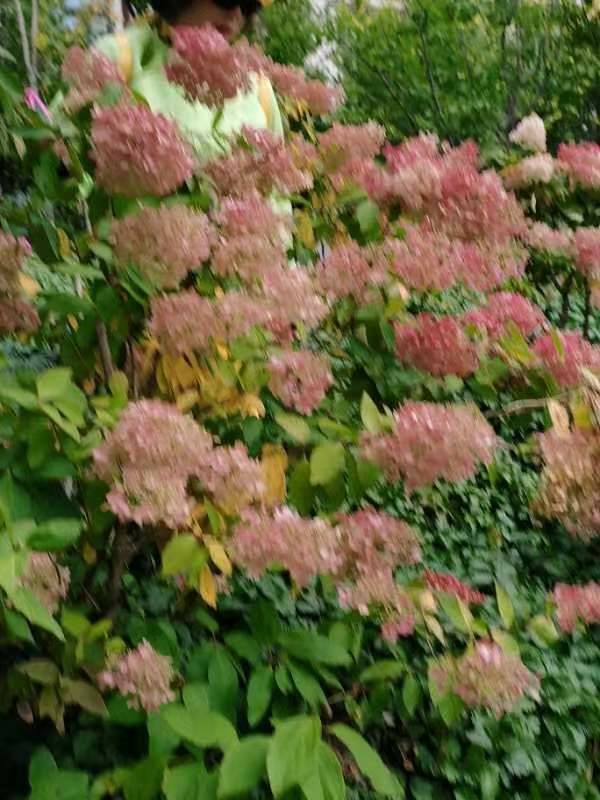 mmexport1696335348812 - ���Ŀ�ͼ��.jpg