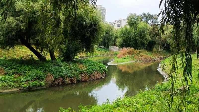 mmexport1696336691779 - ���Ŀ�ͼ��.jpg