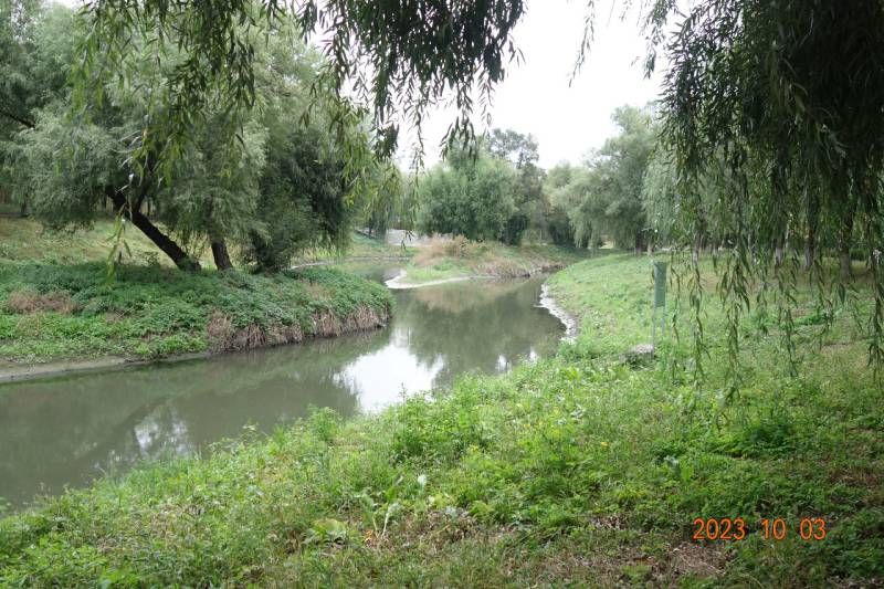 mmexport1696335936040 - ���Ŀ�ͼ��.jpg