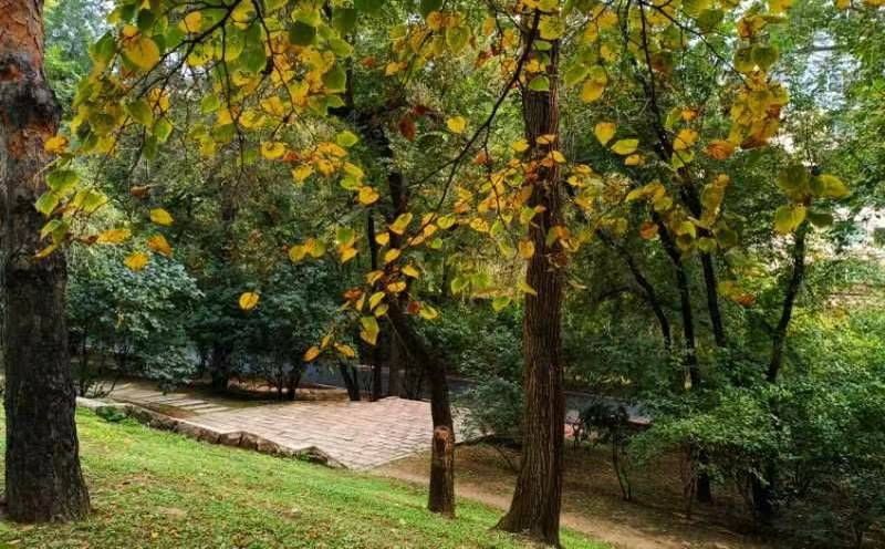 mmexport1696336708740 - ���Ŀ�ͼ��.jpg