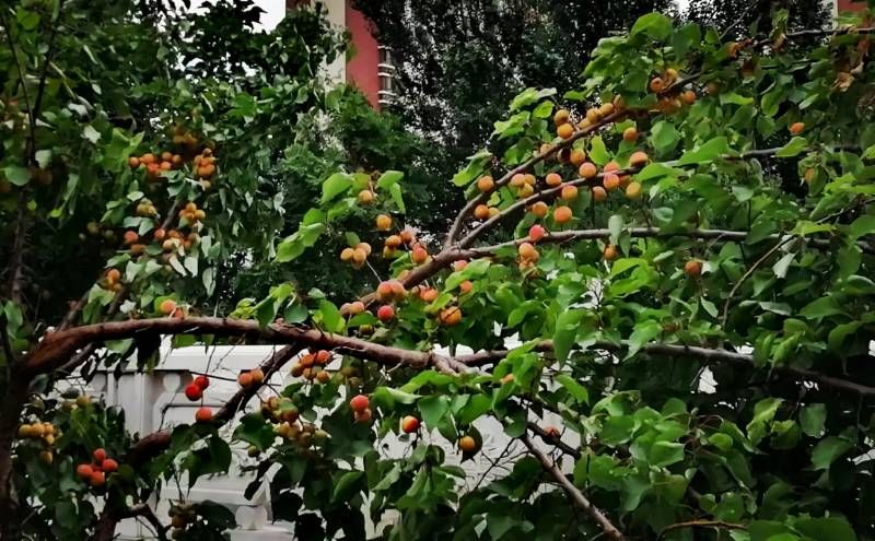 ΢��ͼƬ_20220716190225.jpg