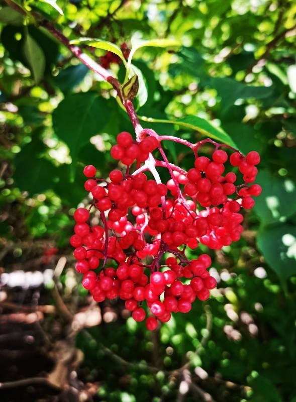 ΢��ͼƬ_20220723171109.jpg