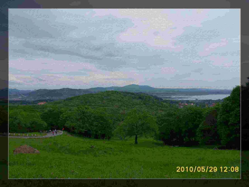 SDC13543.jpg