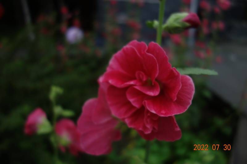 ΢��ͼƬ_20220730181545.jpg