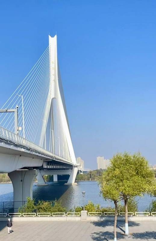 ΢��ͼƬ_20241008195643.jpg