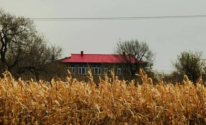 ΢��ͼƬ_20241023093220.jpg