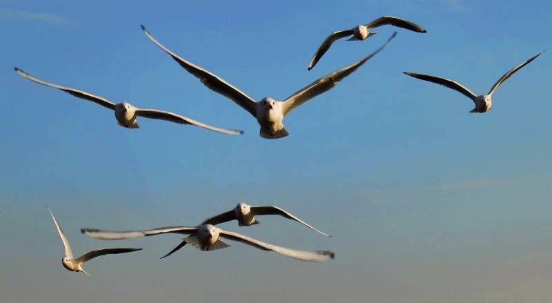 ΢��ͼƬ_20241026174652.jpg