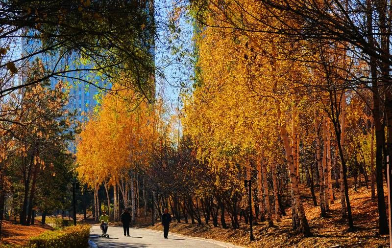 ΢��ͼƬ_20241029192130.jpg