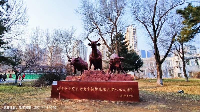 ΢��ͼƬ_20241112190349.jpg