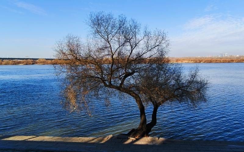 ΢��ͼƬ_20241119152730.jpg