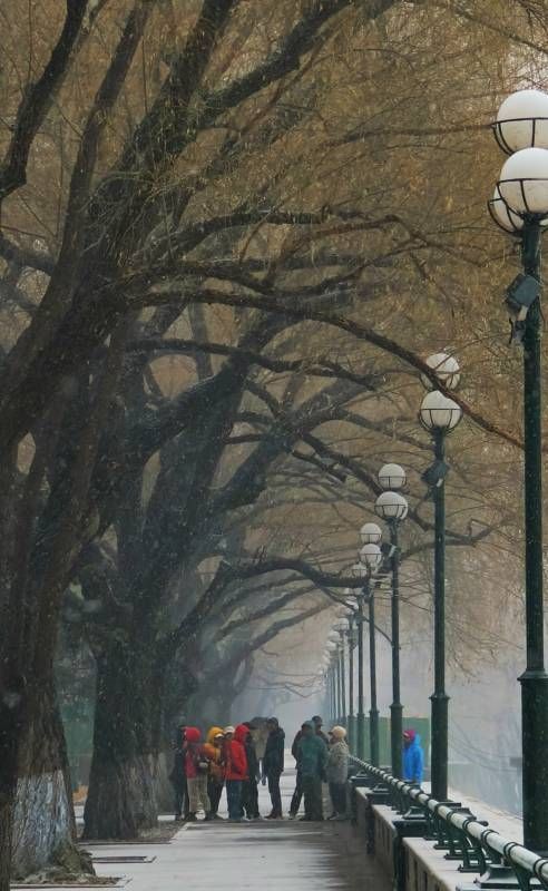 ΢��ͼƬ_20241126162837.jpg