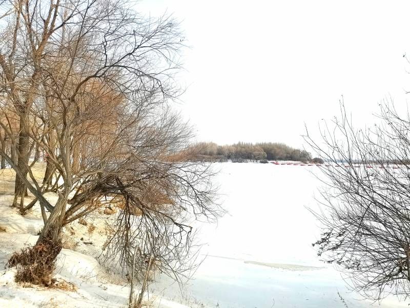 ΢��ͼƬ_20241207204501.jpg