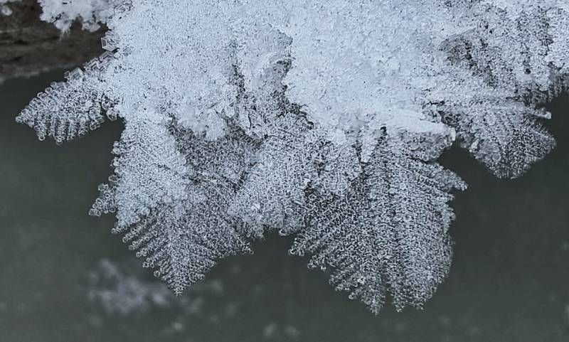 ΢��ͼƬ_20241221161455.jpg