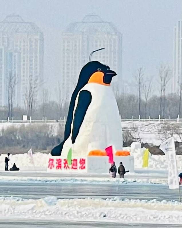 ΢��ͼƬ_20250121220435.jpg