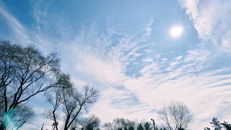 ΢��ͼƬ_20250415205349.jpg