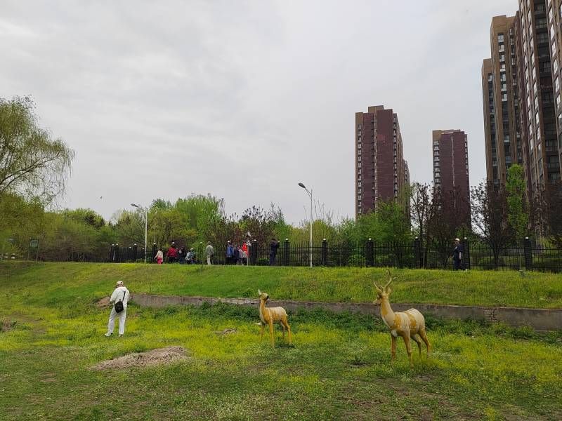 ΢��ͼƬ_20250513213249.jpg