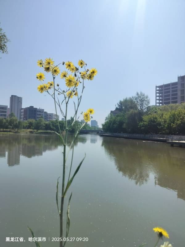 ΢��ͼƬ_20250528090612.jpg