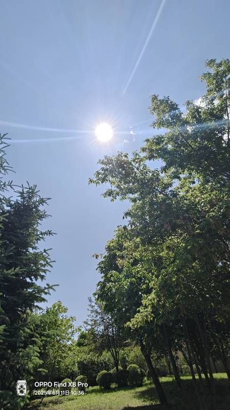 ΢��ͼƬ_20250611202833.jpg