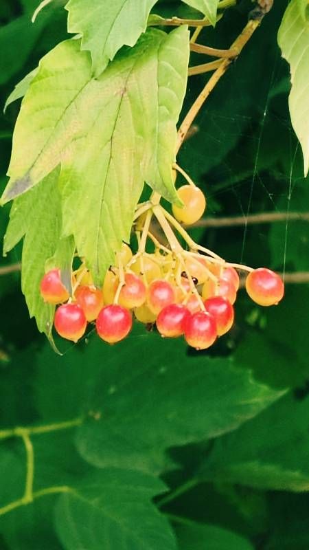 ΢��ͼƬ_20250819215046.jpg